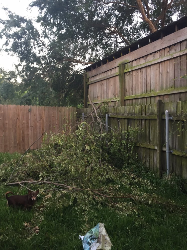 TERRELL'S TREE SERVICE