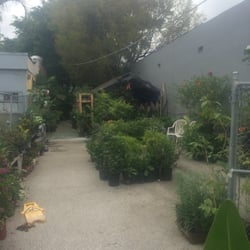My Family Garden Nursery Wedding Planning 2230 Sw 57th Ave Photo Of My Family Garden Nursery Miami Fl United States Just
