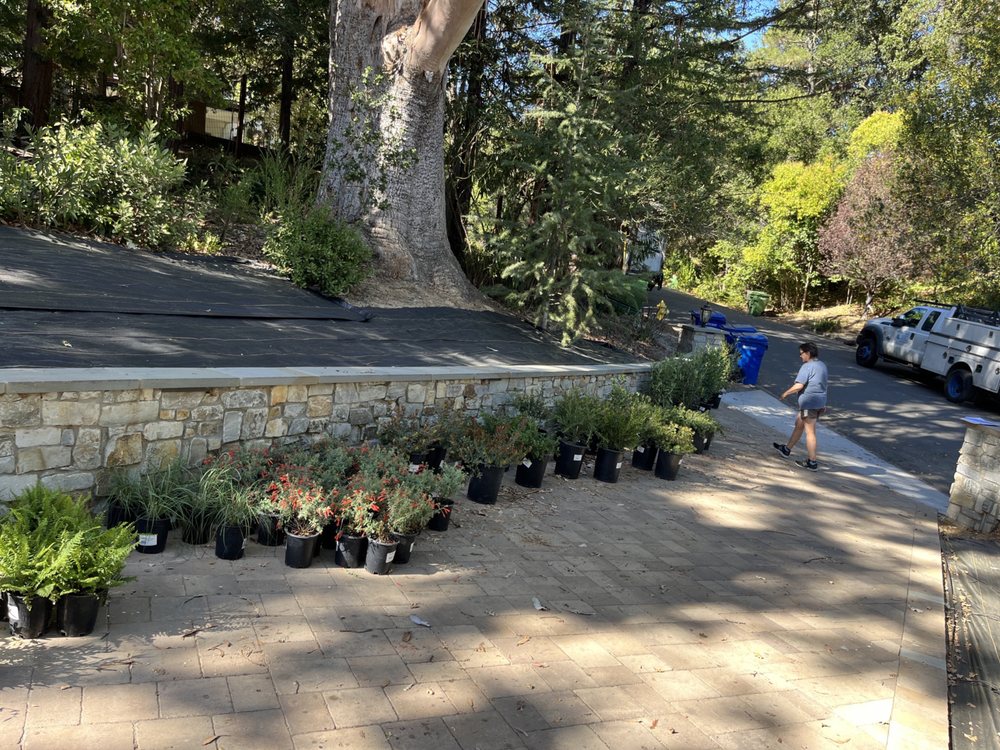 Patty Walters Landscape Design