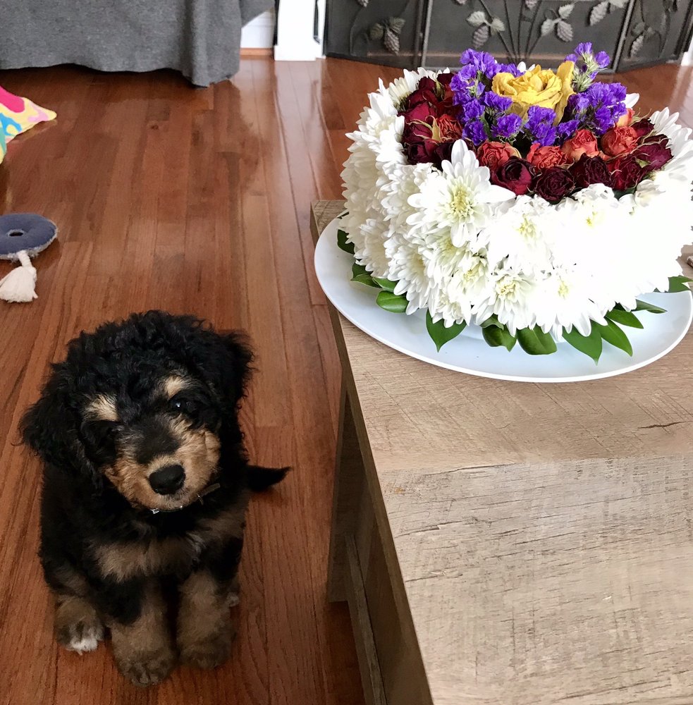 Jerry's Flowers & Gifts