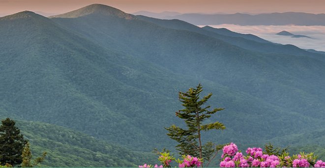 image of business Blue Ridge Dentistry