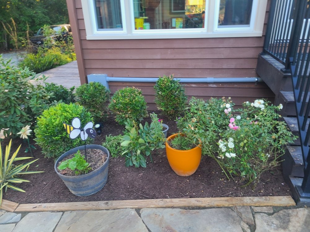 Apple Tree Lawn Care & Landscaping