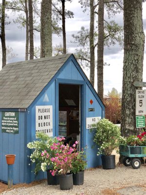 Dabney Nursery 5576 Hacks Cross Rd 5575 Memphis Tn Dabney Nursery 5576 Hacks Cross Rd 5575 Memphis Tn 38125 Located At The Corner Of And Stateline Nurseries