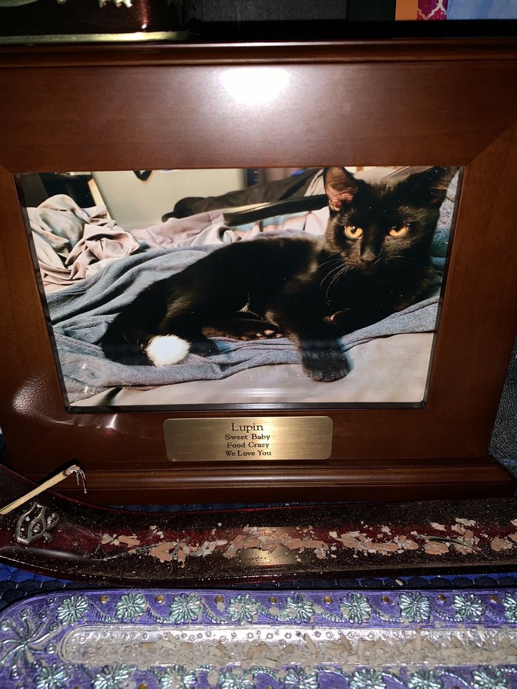 Pet Prairie Image