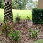 Keep It Green Nursery 16 Photos Nurseries Gardening 7075 N Photo Of Keep It Green Nursery Apollo Beach Fl United States Plants