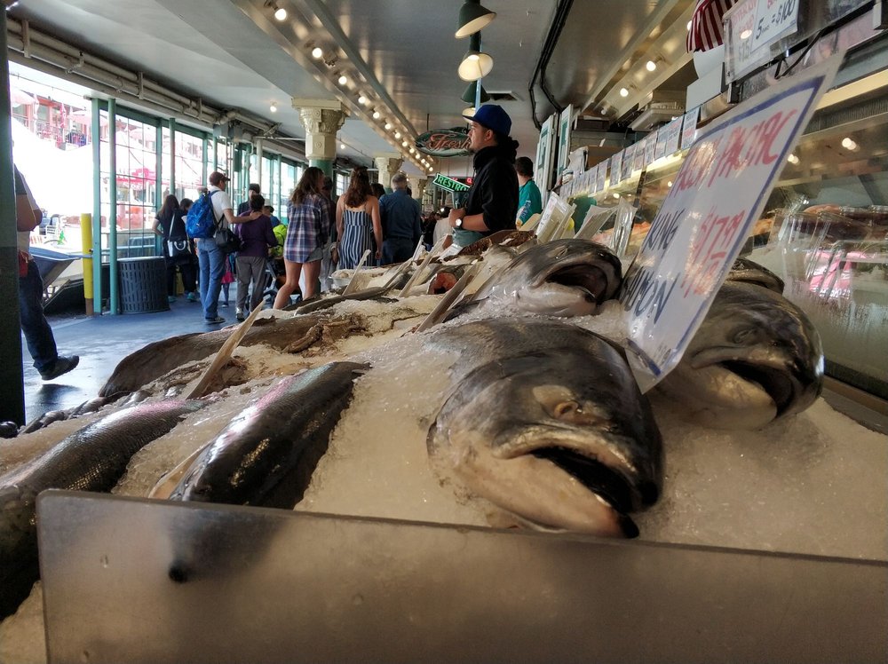 City Fish