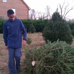 photo of moose apple christmas tree farm berryville va united states noah - Moose Apple Christmas Tree Farm photo of moose apple christmas tree farm berryville va united states noah - Moose Apple Christmas Tree Farm