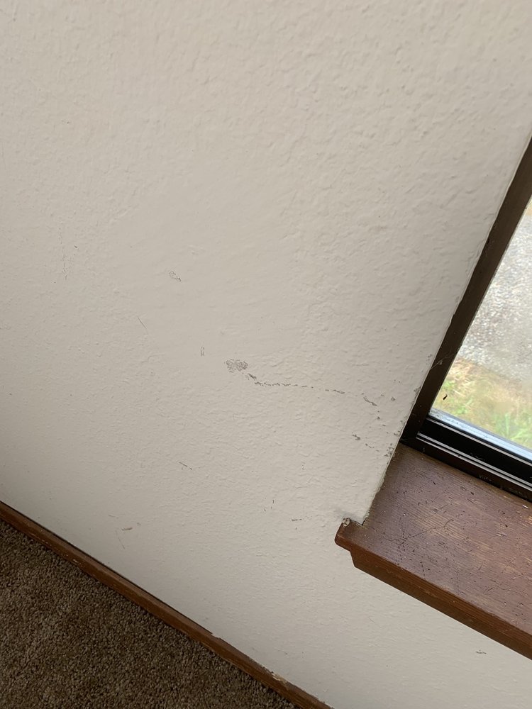 Windermere Property Management  South