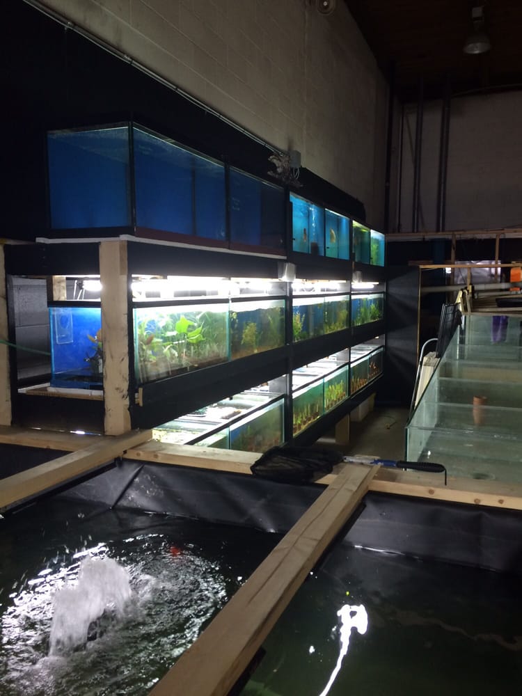Fish addicts langley bc