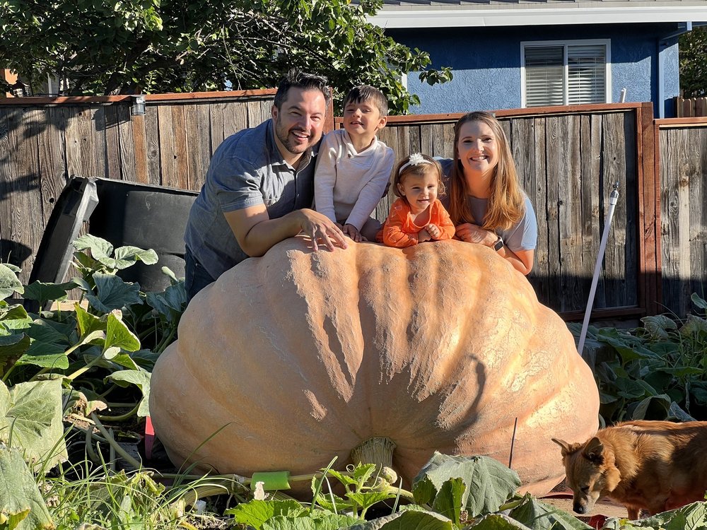 image of business River City Rentals