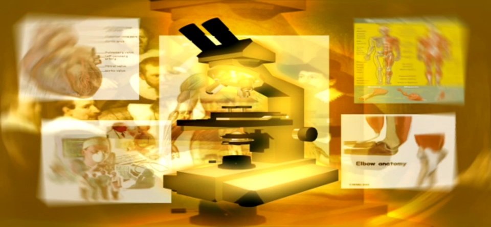 image of business Charles A Shapiro,MD - Advanced Allergy & Asthma