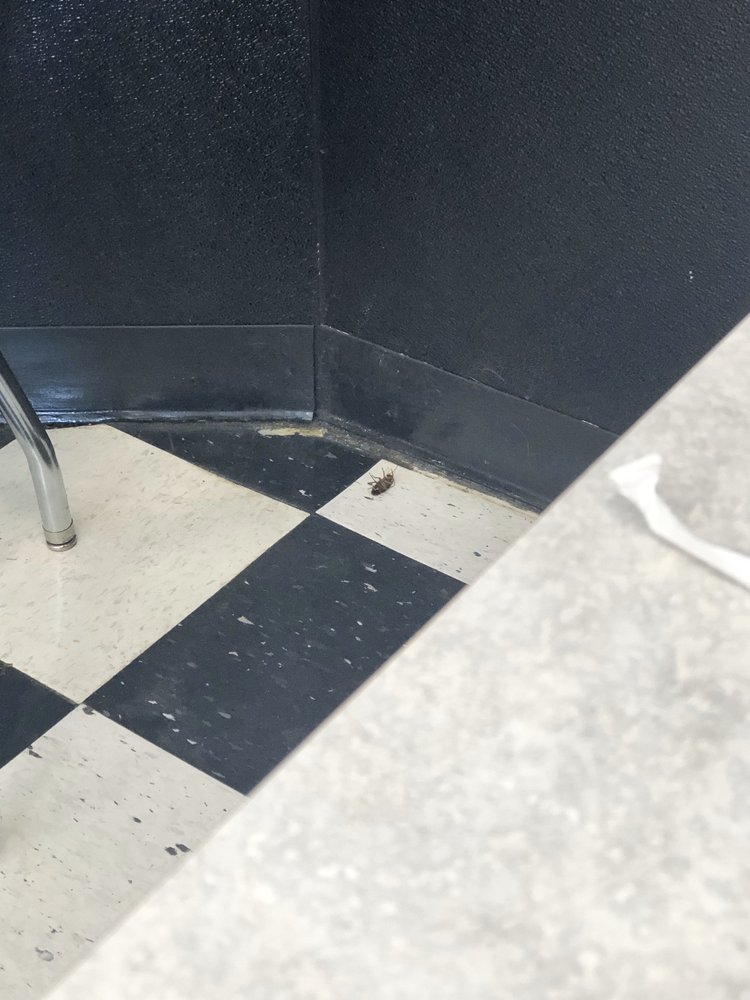 Hwy 55 Burgers Shakes & Fries