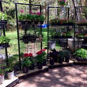 Homestead Nursery Nurseries Gardening 1720 E 6400 S Salt Lake Bushes Photo Of Homestead Nursery Salt Lake City Ut United States
