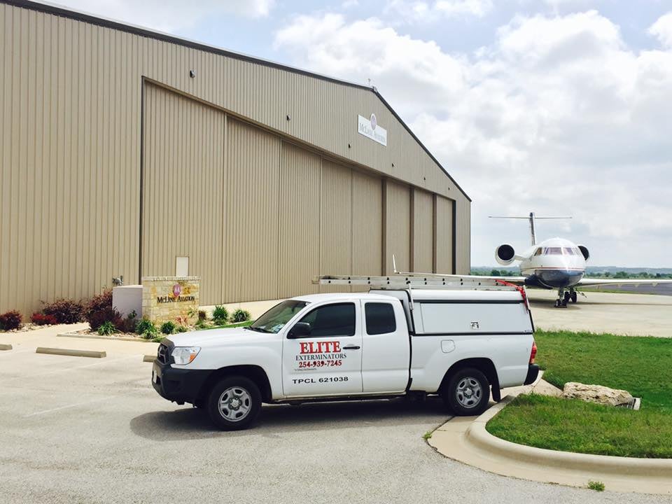 Elite-Exterminators-Belton