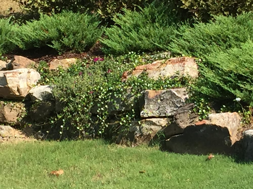 Hendrix Landscaping Services
