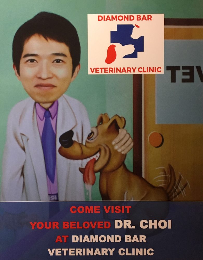 Diamond Bar Veterinary Clinic 42 Reviews Veterinarians 1131 Grand