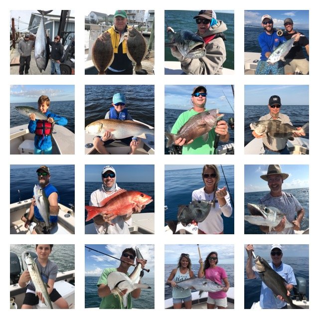 Mount Maker Charters