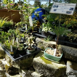 Mid City Nursery 72 Photos 90 Reviews Nurseries Gardening Photo Of Mid City Nursery American Canyon Ca United States