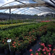 Gulf Gate Landscaping Inc Closed Nurseries Gardening 15110 E H Nursery
