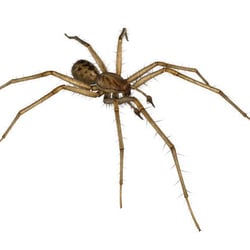 Eco Elite Pest Control 22 Photos 347 Reviews Eco Elite Pest Control 22 Photos 347 Reviews
