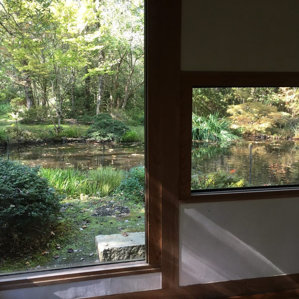 Ash's Japanese Maple Nursery