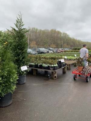 Gasko S Family Farms 112 Federal Rd Monroe Township Nj Gasko S Family Farms 112 Federal Rd Monroe Township Nj