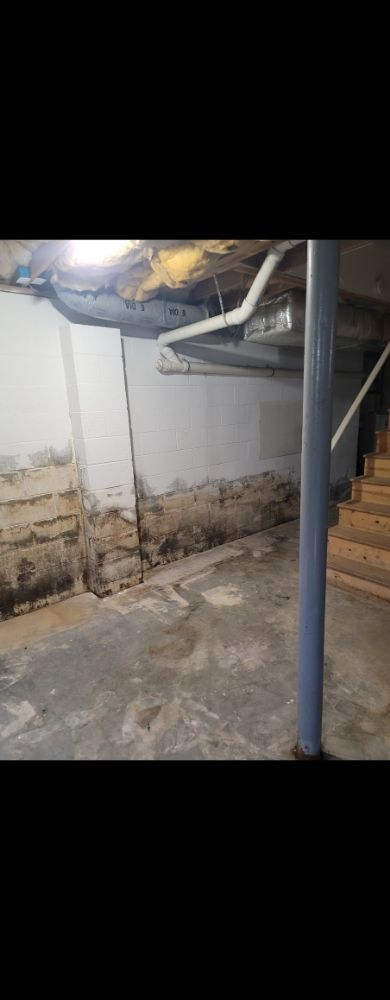 Basement Pros