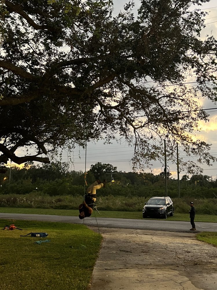 Macario And Sons Tree Service