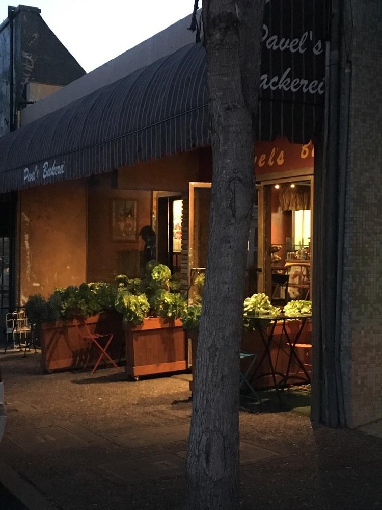 Pavel’s Backerei 220 Photos & 333 Reviews Bakeries 219 Forest Ave