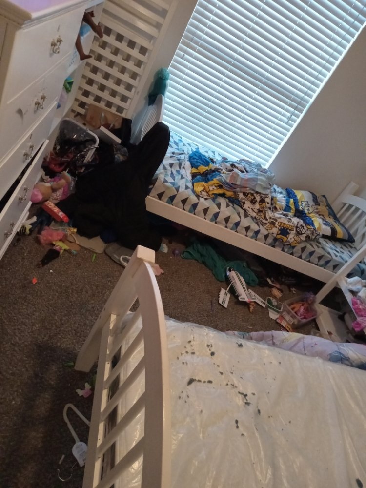 Tashaunas Maid Service
