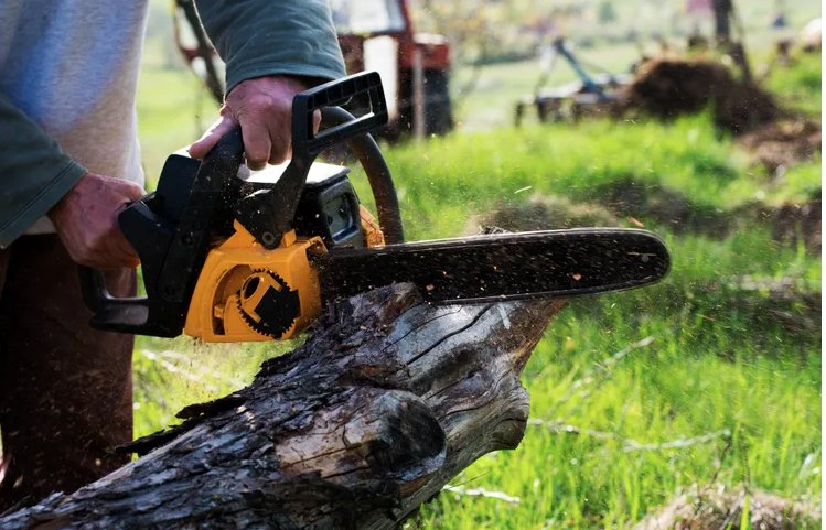 The Magic Rake Tree And Landscaping Service