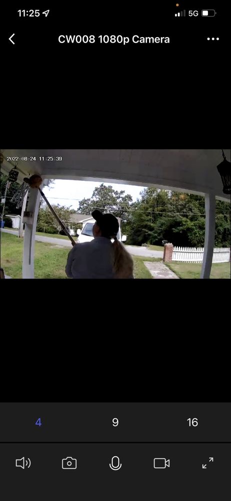 Insight Pest Solutions - Knoxville