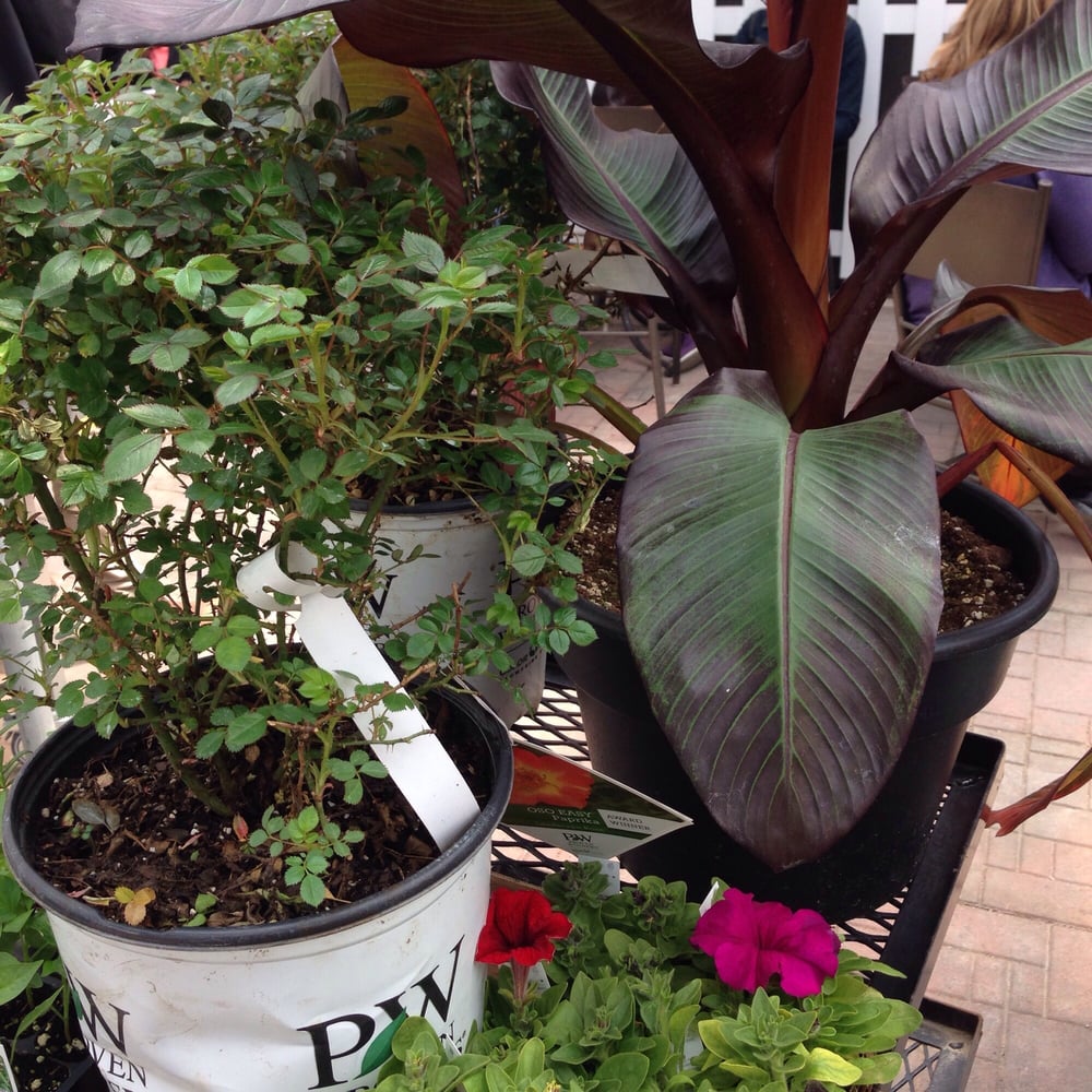 Heeman’s 21 Photos Nurseries & Gardening 20422 Nissouri Road