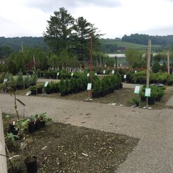 Musser Forests Nurseries Gardening 1880 Rte 119 Hwy N Indiana Photo Of Musser Forests Indiana Pa United States