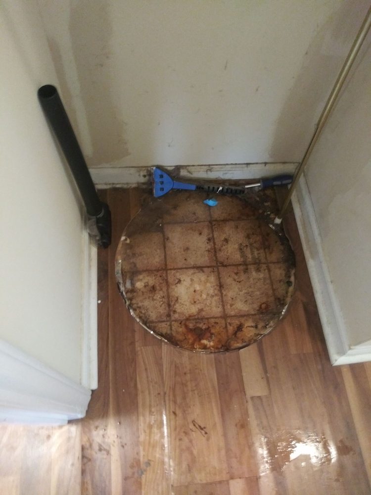 Roto-Rooter Plumbing & Drain Services