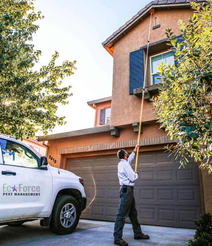 EcoForce Pest Management