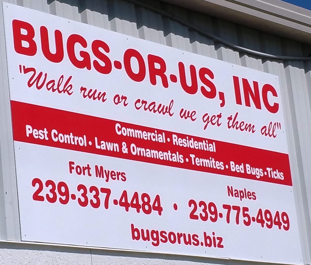 Bugs Or Us