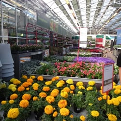 plantagen bromma öppettider plantagen bromma öppettider