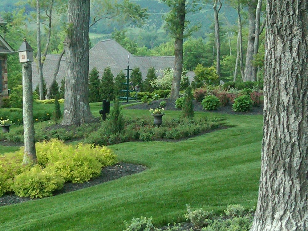 Yard By Yard Lawn Care