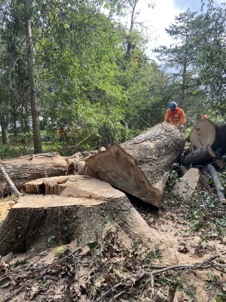 Destinys Tree Service