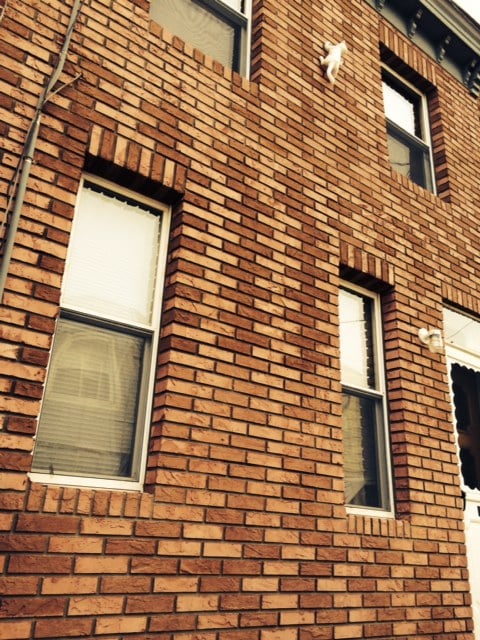 Alston Stucco