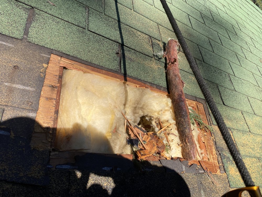 Luis Roofing