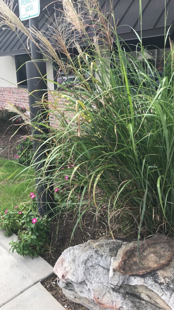 Cheddar's Scratch Kitchen