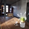 The Grub & Grog Shop