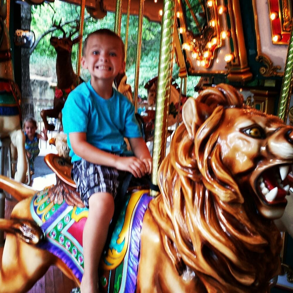 Grant’s Farm 136 Photos & 123 Reviews Zoos 10501 Gravois Rd