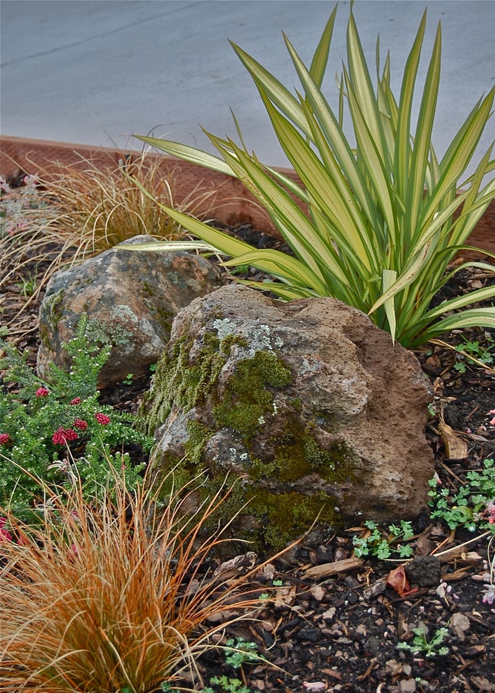 Sarah Herman Landscape Design