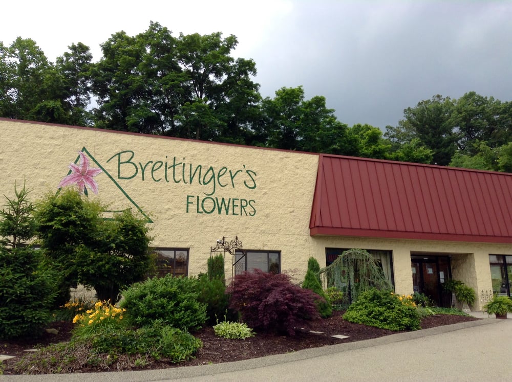 Swingers in white oak pennsylvania Erie pa swingers life.
