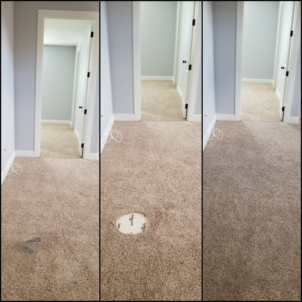 image of business Carpet Doctor