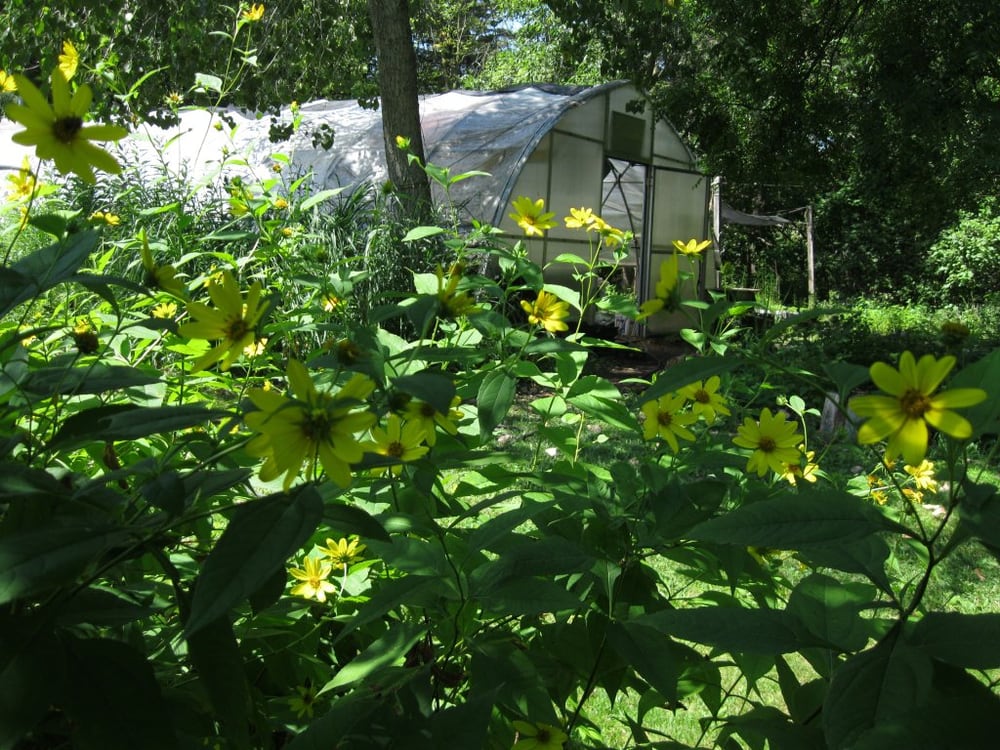 The Native Plant Nursery LLC Nurseries & Gardening 300