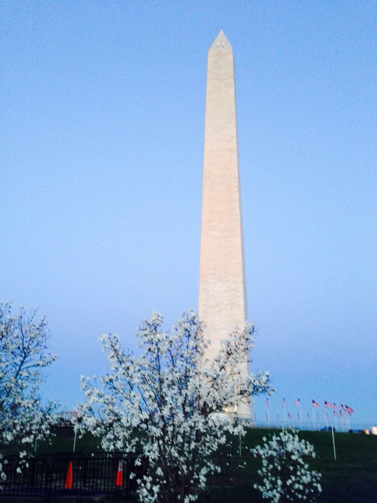 Cherry Blossom Ten Mile Run